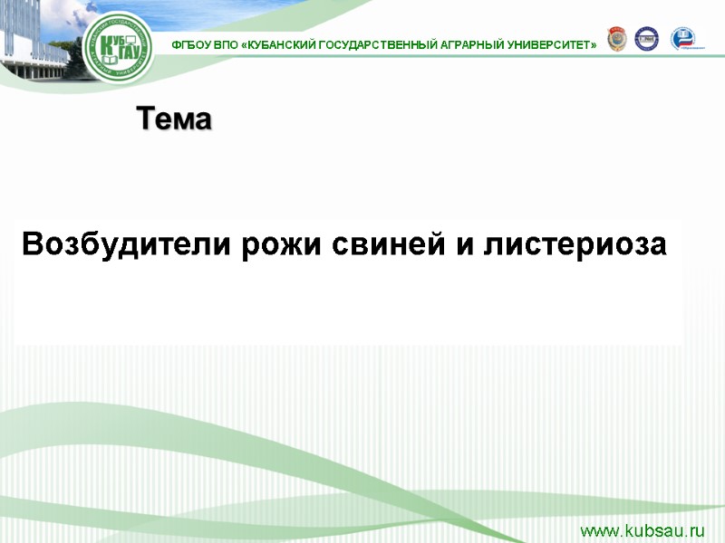 Возбудители рожи свиней и листериоза   Тема